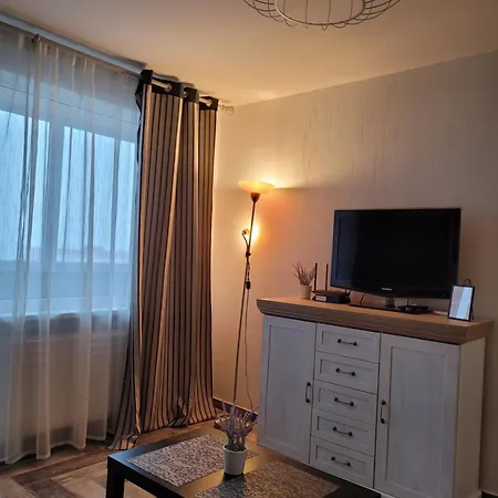 Apartment Giedres Kalnieciu Apartments 1 *