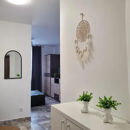 Giedres Kalnieciu Apartamentai 1 Netoli Kauno Kliniku