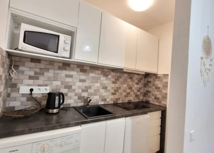 Giedres Kalnieciu Apartamentai 1 Netoli Kauno Kliniku كاوناس