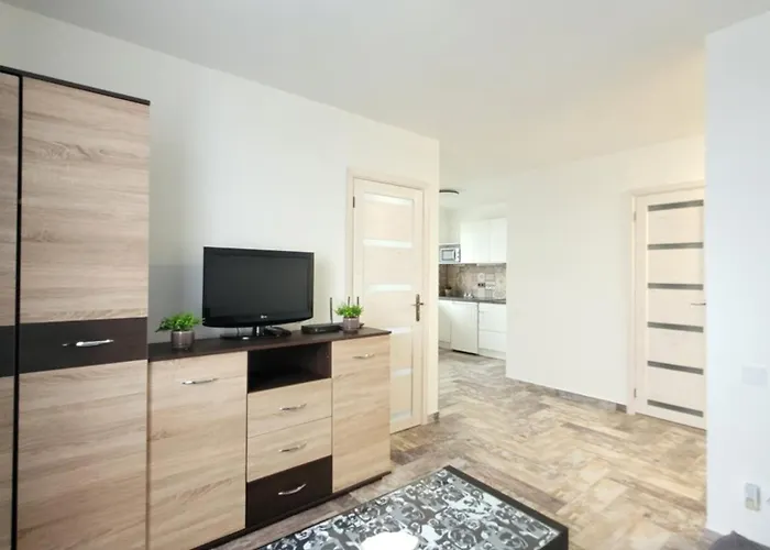 Lejlighed Giedres Kalnieciu Apartamentai 1 Netoli Kauno Kliniku