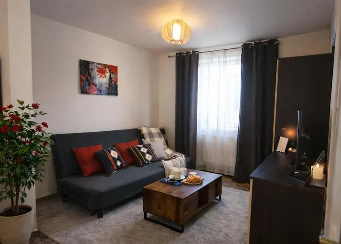 Giedres Kalnieciu Apartamentai 1 Netoli Kauno Kliniku 考纳斯